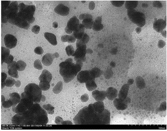 Silver nanometer material and biological preparation method and application thereof