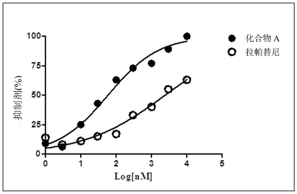 Application of EGFR/HER2 receptor tyrosine kinase inhibitor in preparation of medicine for treating HER2 mutation cancer