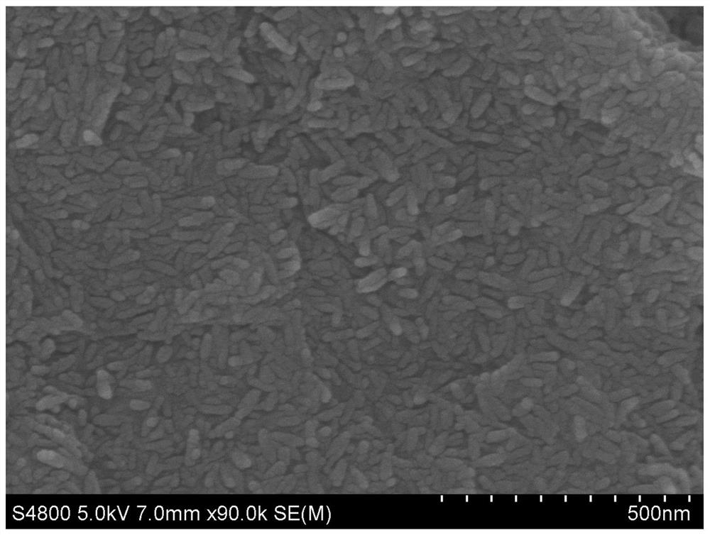A preparation method of ultra-large lamellar rgo loaded ultrafine β-feooh nanoparticles lithium-ion battery anode material