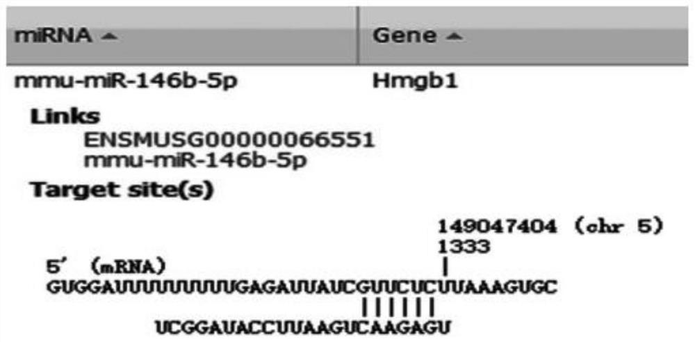 Application of a nucleic acid molecule