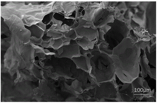 Nanofiber cellulose-based hydrogel loaded metal catalyst for degrading trichlorophenol in water body and preparation method of catalyst