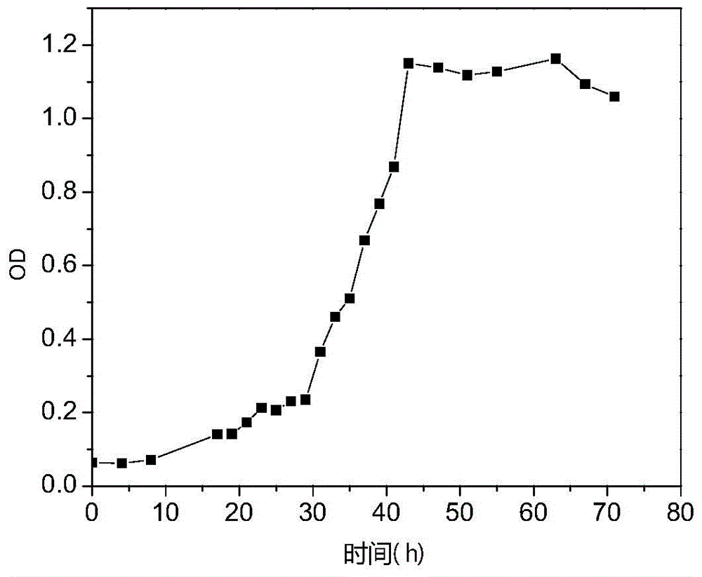 Methylobacterium capable of degrading chlorohydrocarbon and applications thereof