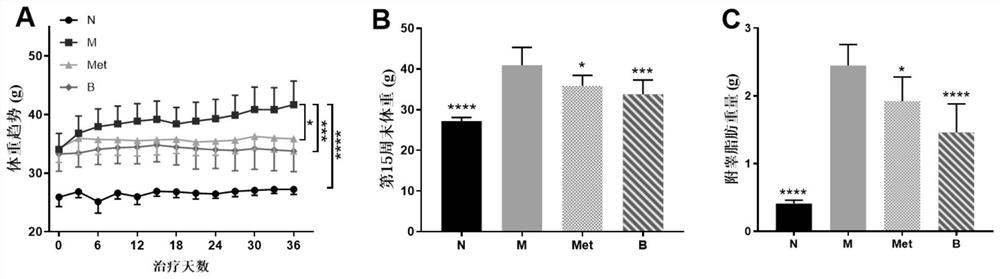 Bifidobacterium longum for relieving insulin resistance and application thereof