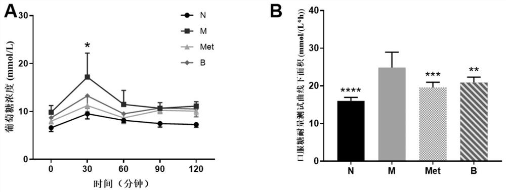 Bifidobacterium longum for relieving insulin resistance and application thereof