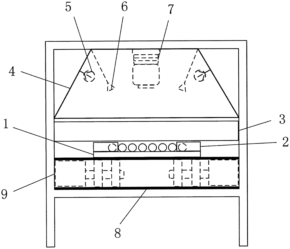 Visual detection apparatus and method for quality of corn kernel
