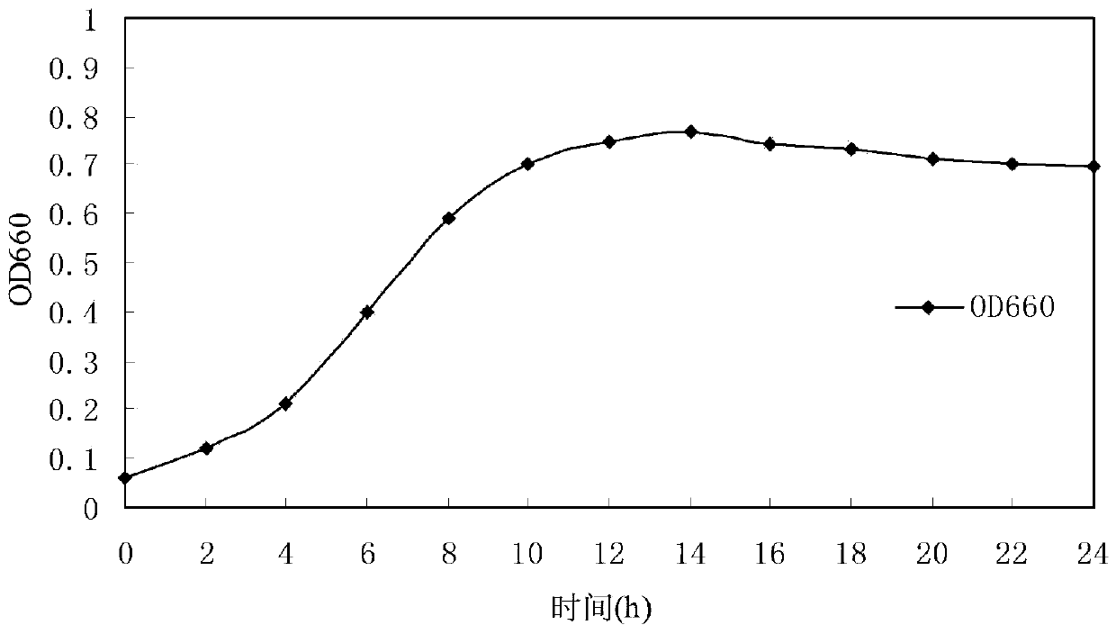 A kind of aerobic denitrifying bacteria and its application