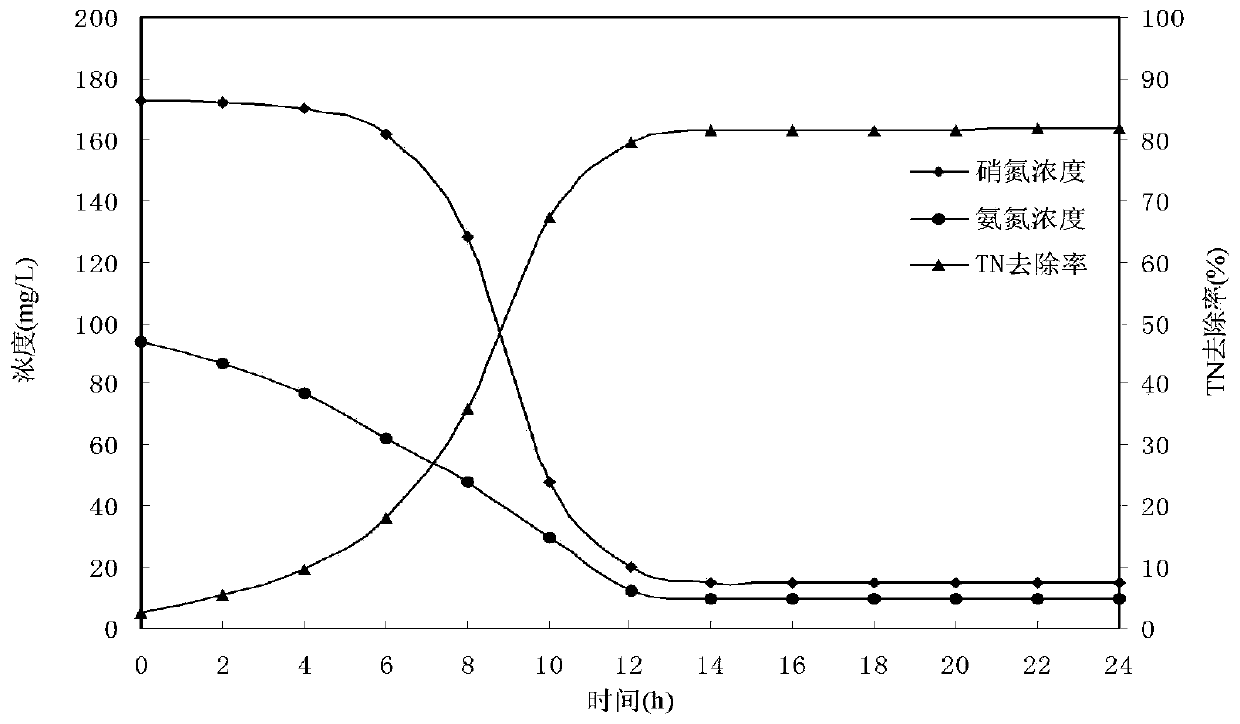 A kind of aerobic denitrifying bacteria and its application