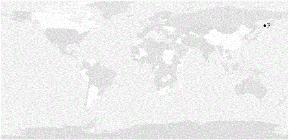 Spatial data immersing interaction method based on eyeball tracking