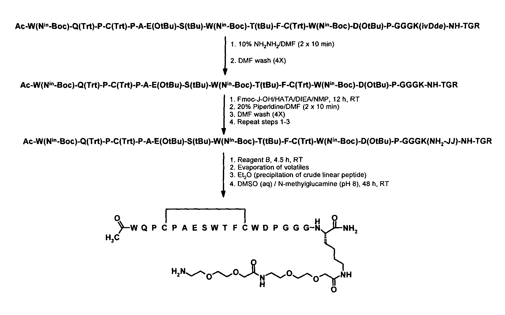 Fibrin-Binding Peptides and Conjugates Thereof