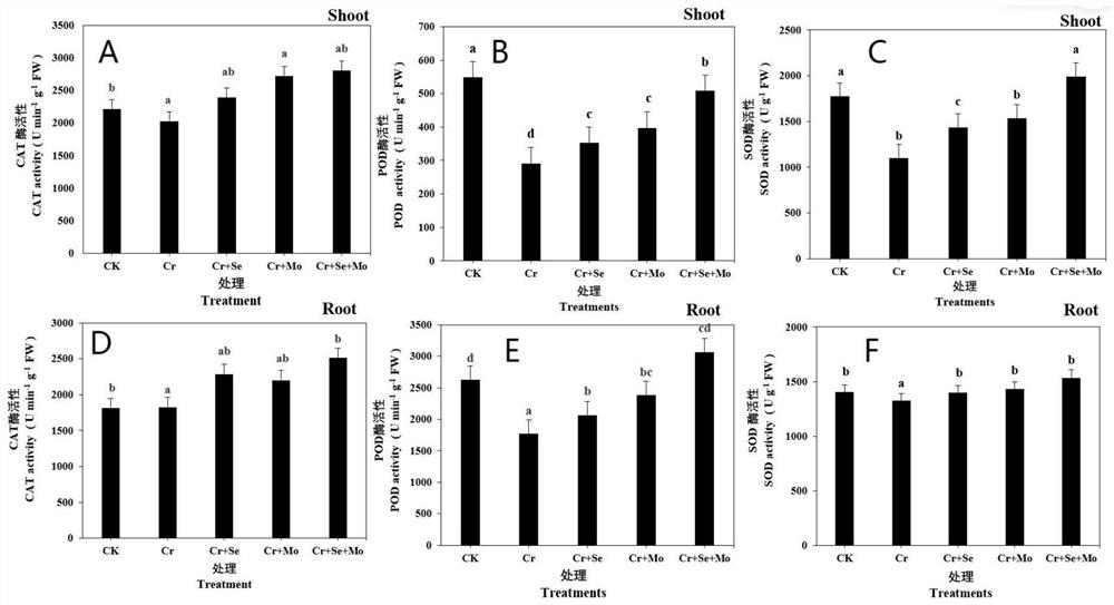 Application of exogenous selenium-molybdenum composition in relieving chromium stress of tobacco