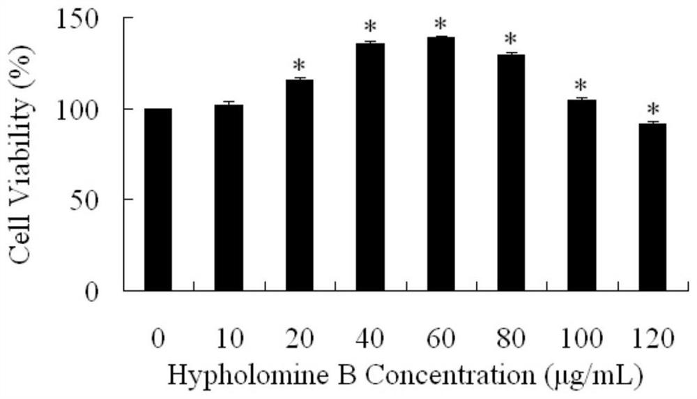 Application of a kind of hypholomine B in preparation of immune activator