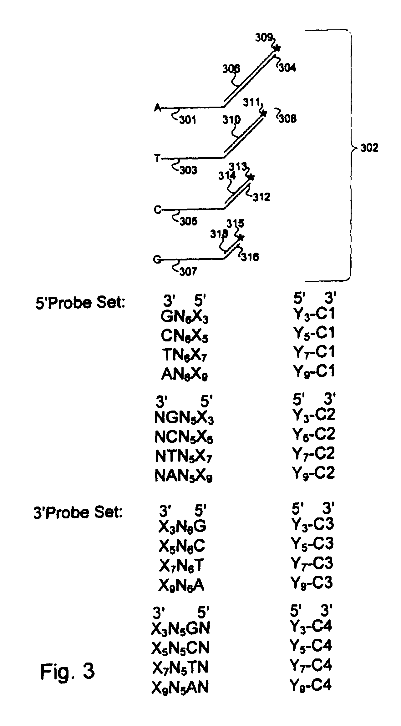 Methods and compositions for efficient base calling in sequencing reactions