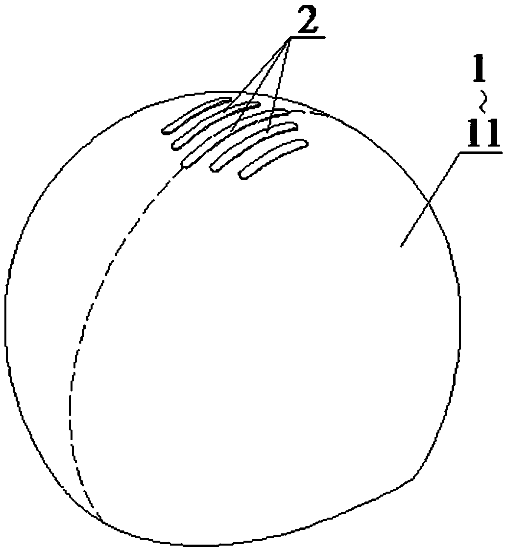 Crease-resistant swimming cap provided with reinforcing ribs