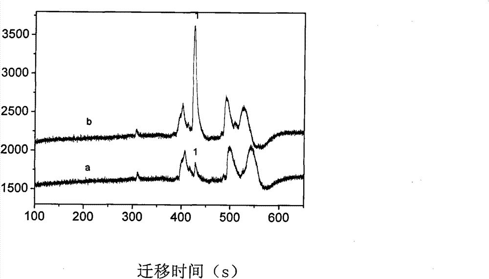 Capillary tube electrophoresis electrochemiluminescence detecting method for galantamine hydrobromide in traditional Chinese medicinal short-tube lycoris extract