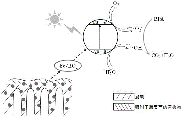 Preparation method of visible light catalytic composite ultrafiltration membrane