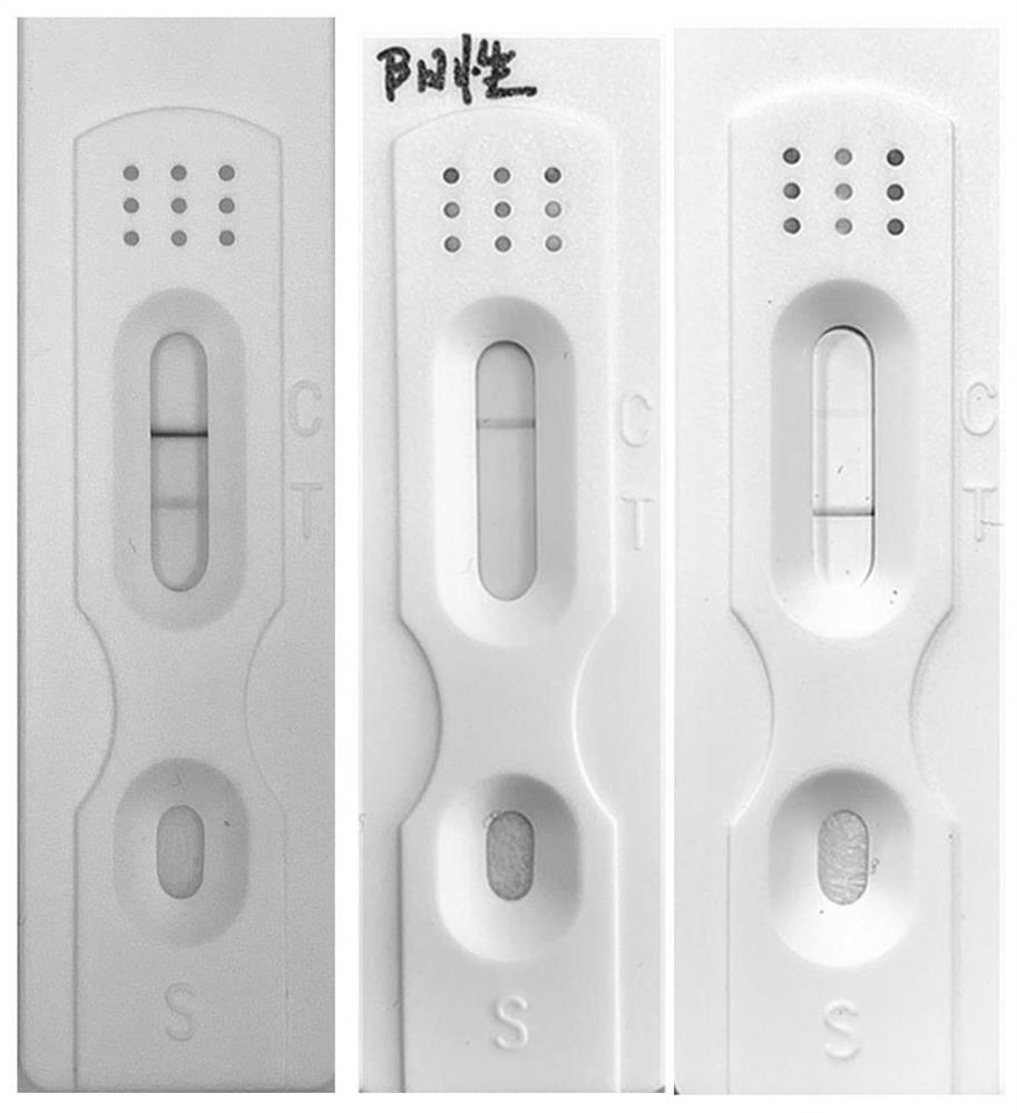 Preparation method of colloidal gold immunochromatography test strip