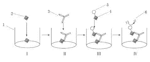 Kit for detecting milk allergen and preparation method thereof
