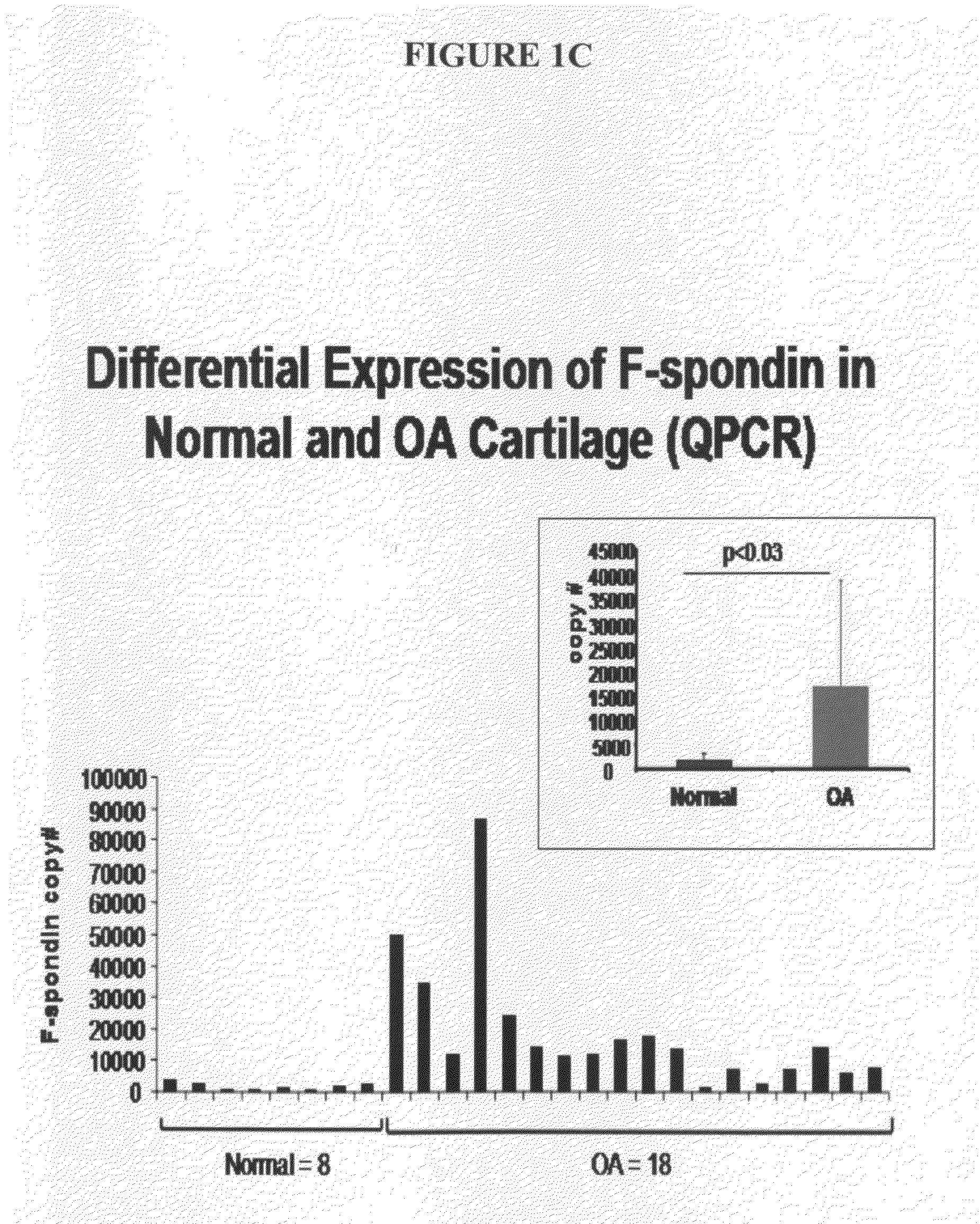 Methods of using F-spondin as a biomarker for cartilage degenerative conditions and bone diseases