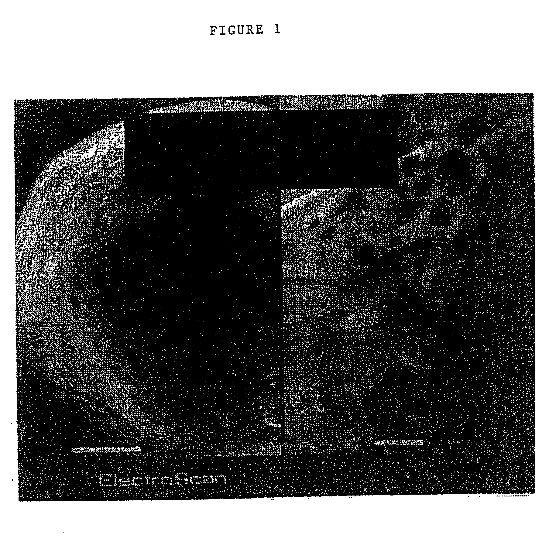 Controlled release formulations coated with aqueous dispersions of acrylic polymers