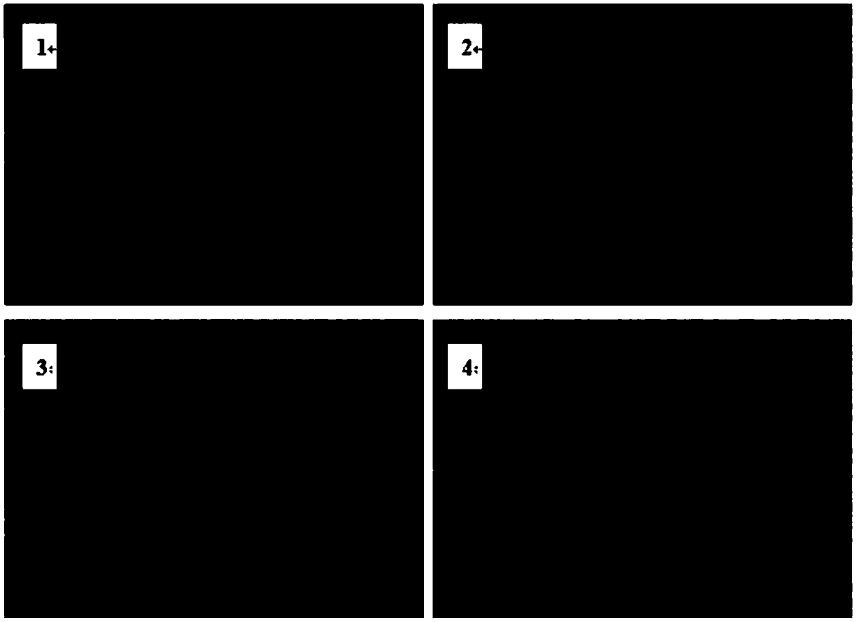 Method for evaluating influence on base film in ceramic coating diaphragm caused by different temperatures