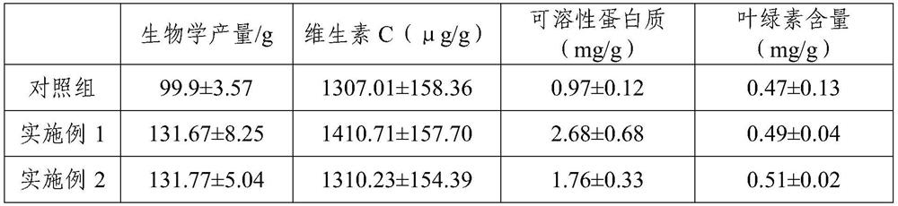 A kind of cultivation method of selenium-enriched lettuce