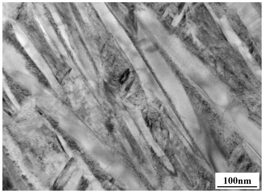 Superplastic forming nanocrystalline antibacterial martensitic stainless steel and preparation method thereof