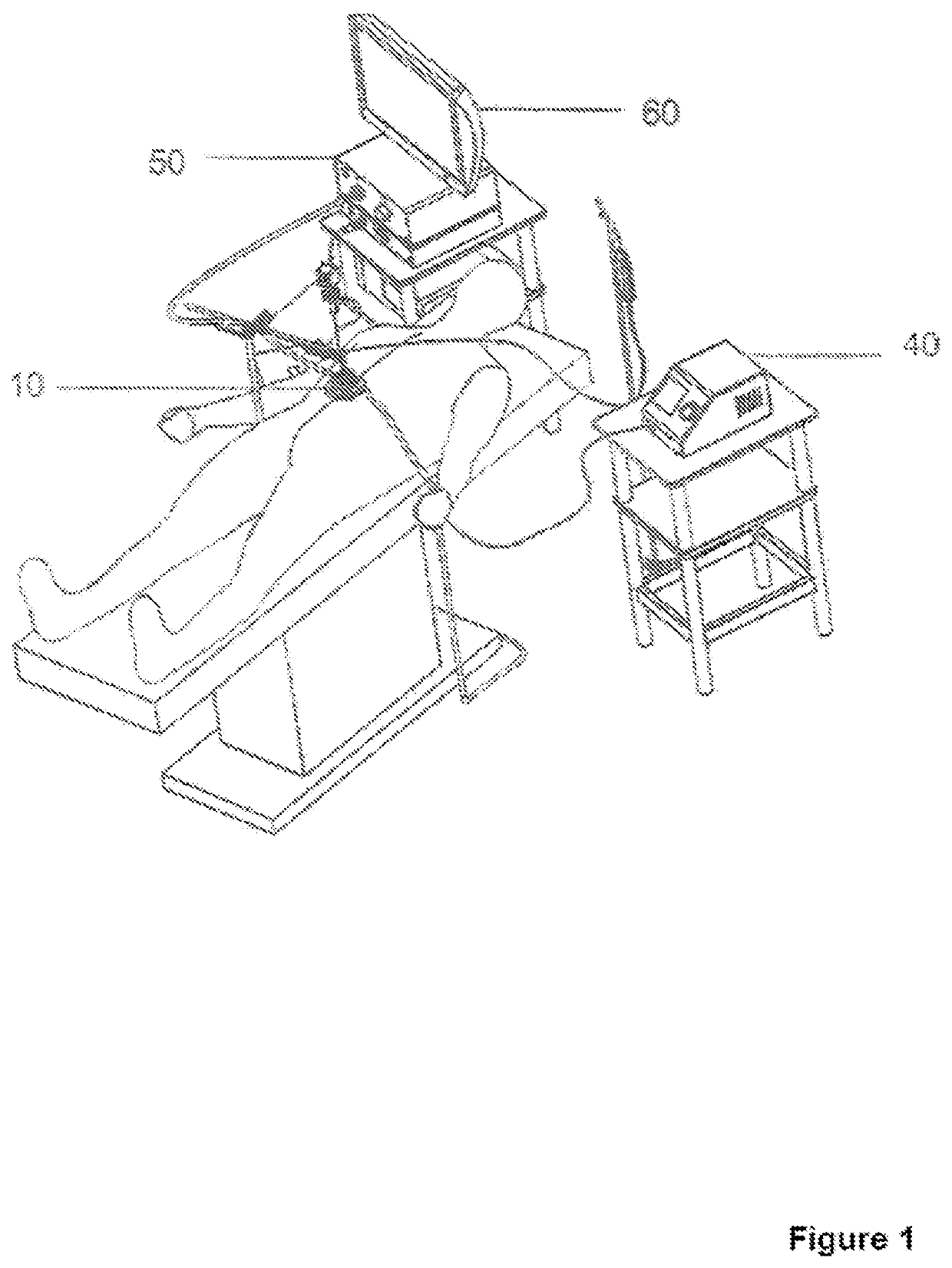 Ultrasonic aerosolization platform for the application of therapeutic substances to body cavities