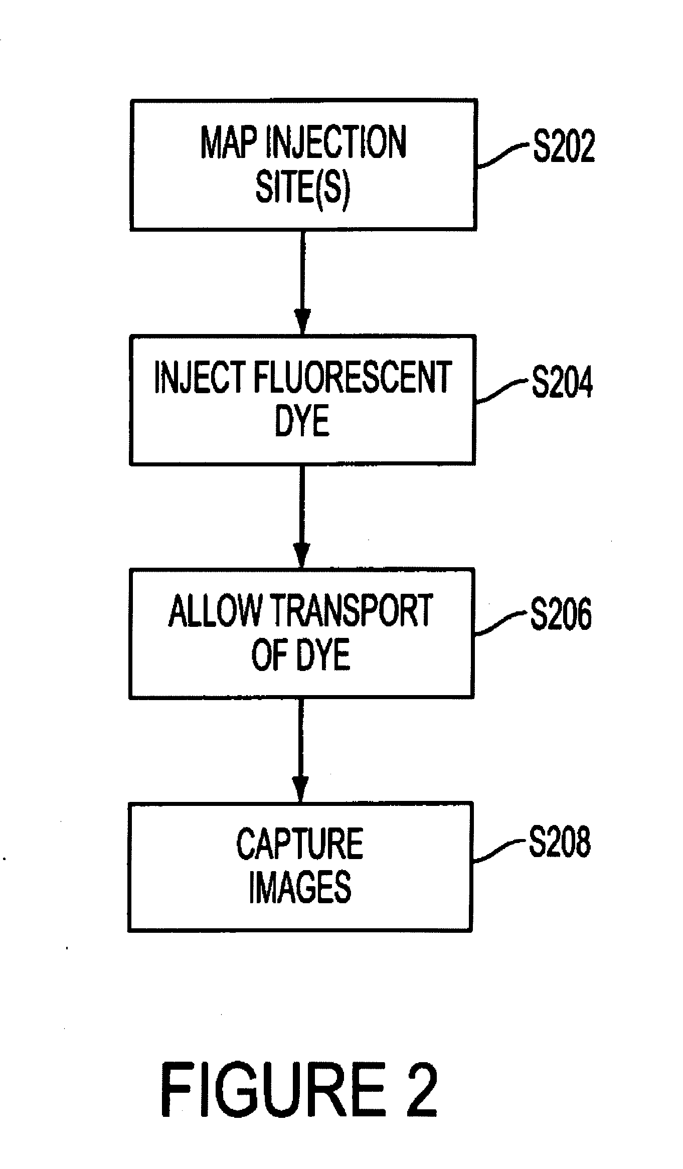 Method and apparatus for imaging in an eye