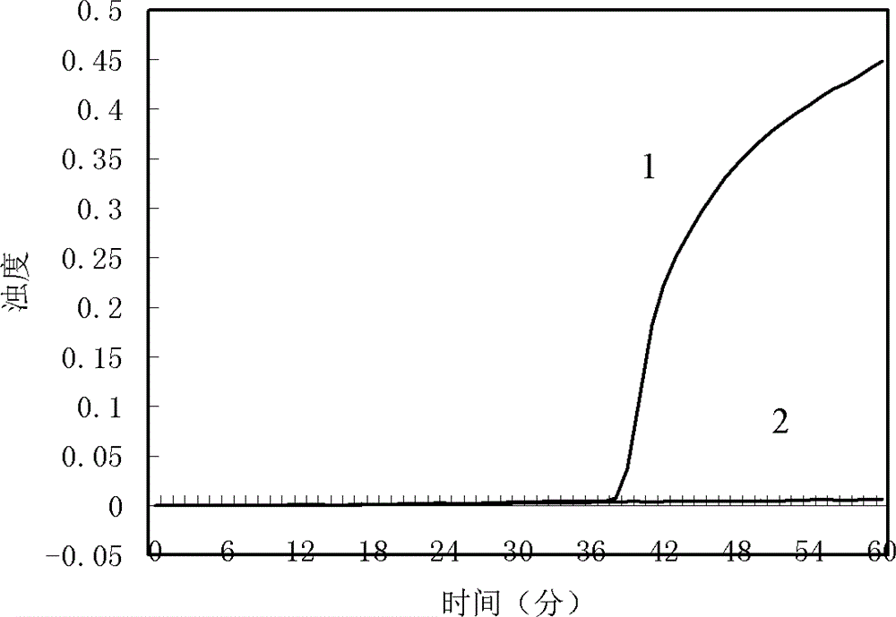 Primer composition for detecting NDM-1 gene with high specificity and application thereof