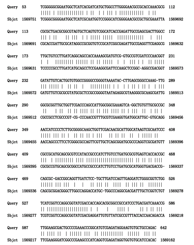 Primer composition for detecting NDM-1 gene with high specificity and application thereof