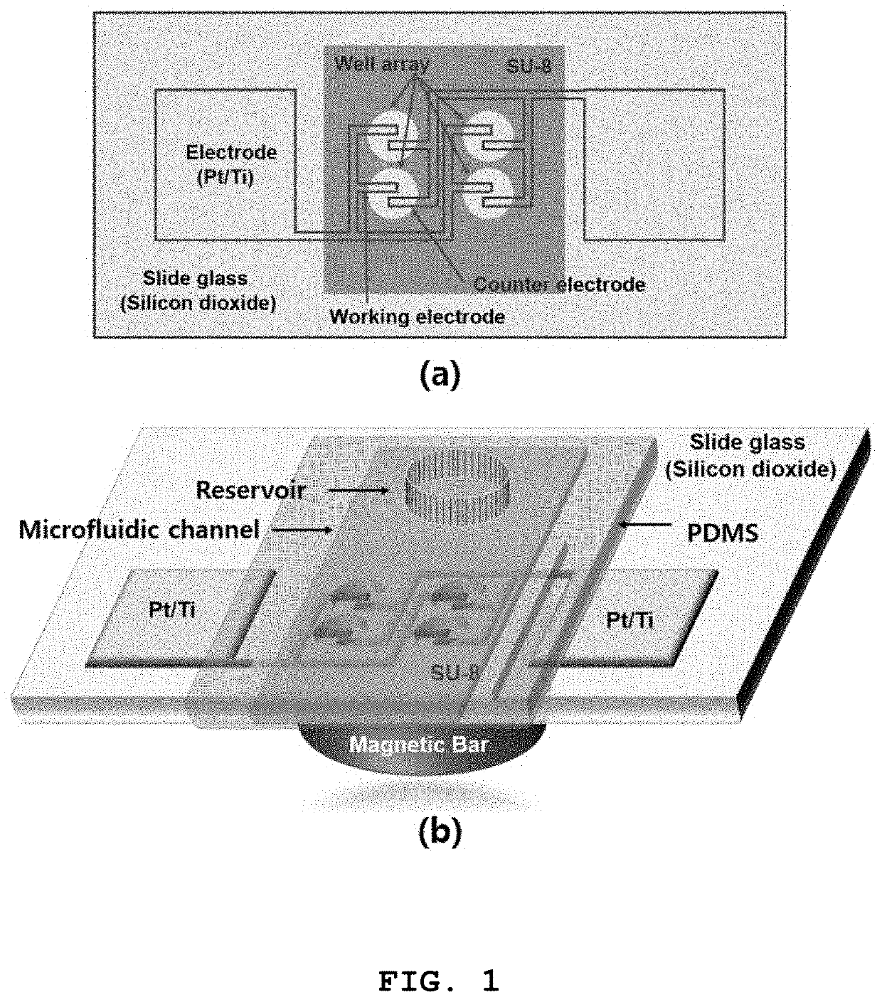 Method for diagnosing diseases through oligomer analysis of abnormally aggregated proteins