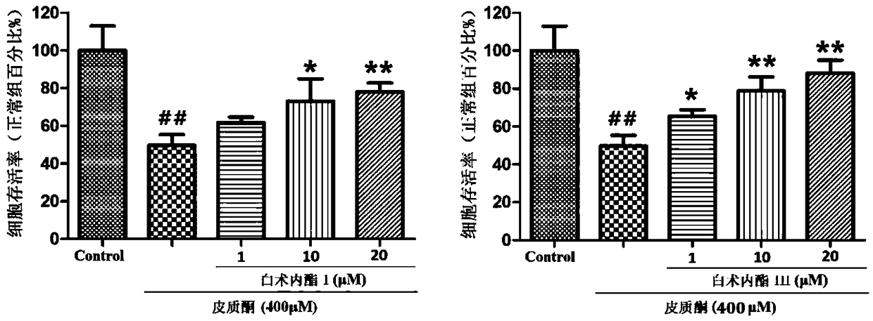 Application of Atractylodes lactone in the preparation of antidepressants