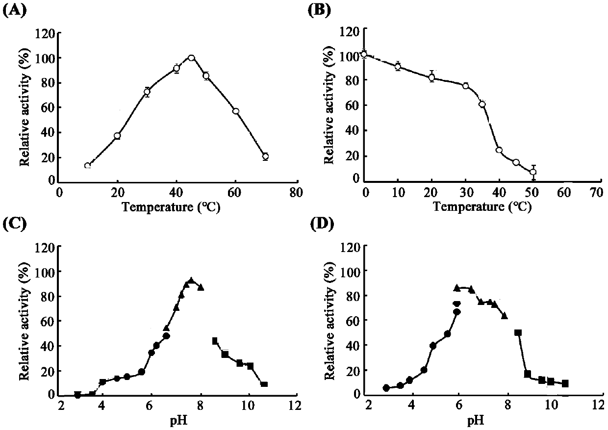 Preparation method and application of alginatelyase OalC6