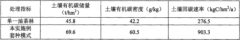 Interplanting method improving carbon sequestration capacity of tea-oil tree forest