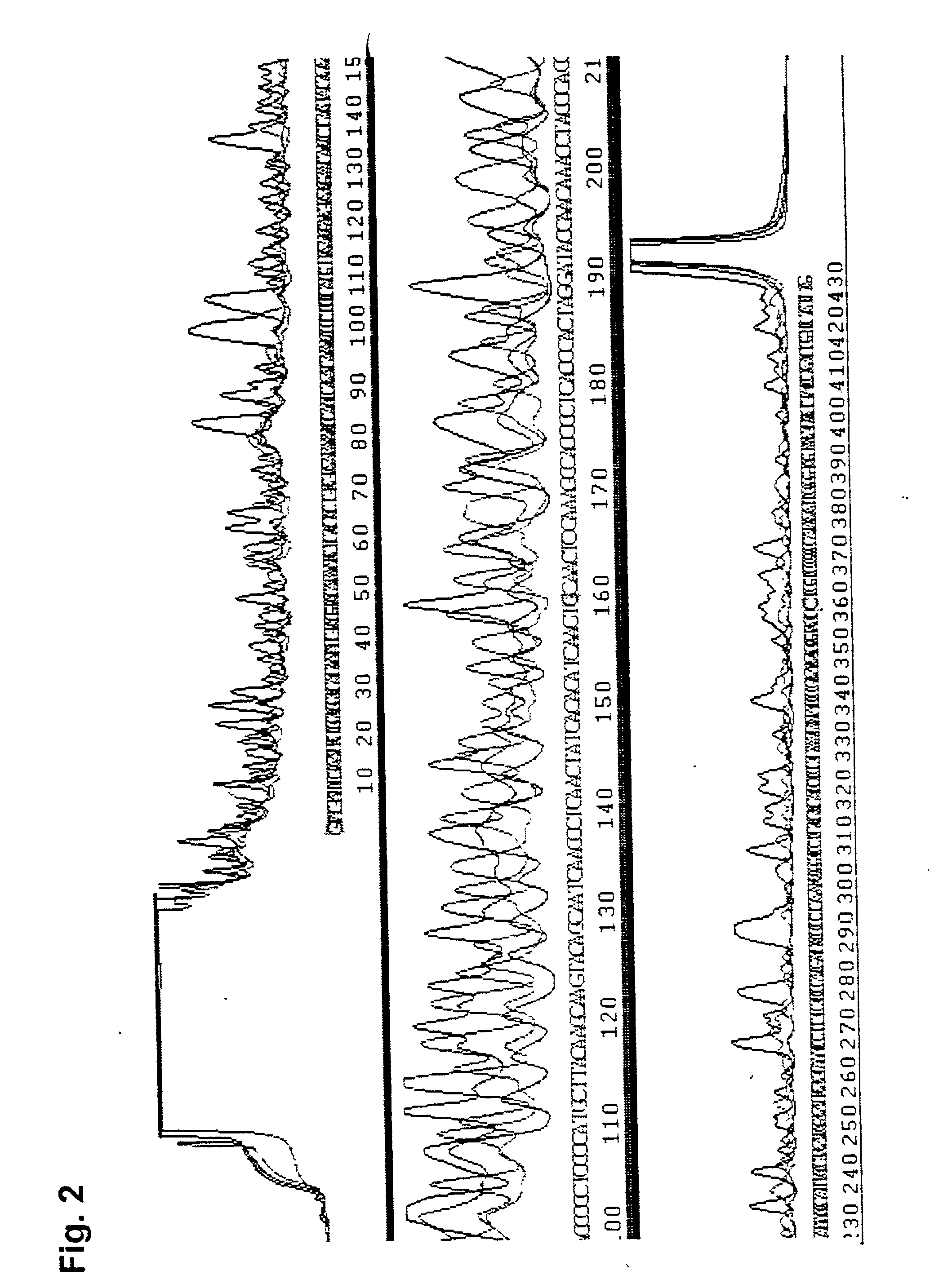 Method for the direct, exponential amplification and sequencing of DNA molecules and its application