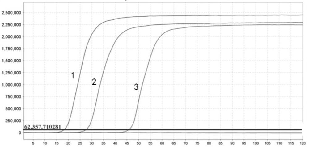 LAMP (Loop-Mediated Isothermal Amplification) primer group, kit and detection method for simultaneously detecting multiple capripoxvirus