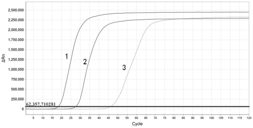 LAMP (Loop-Mediated Isothermal Amplification) primer group, kit and detection method for simultaneously detecting multiple capripoxvirus