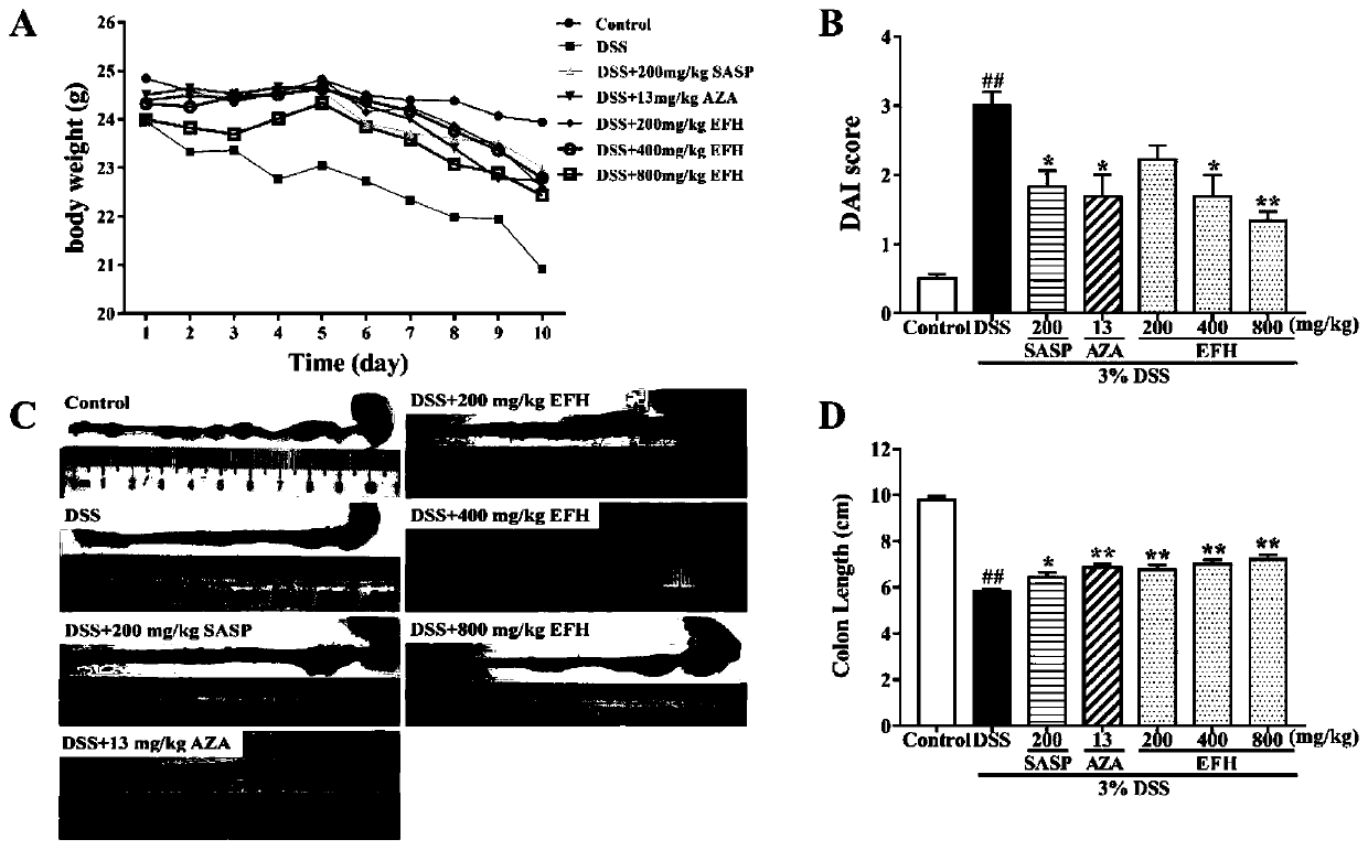 Application of silver leaf tree fruit in preparing drug for treating ulcerative colitis