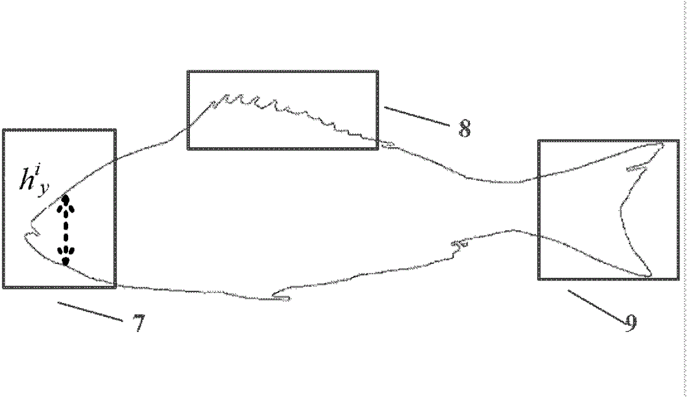 Video signal based fish dam-passing movement track positioning apparatus and method