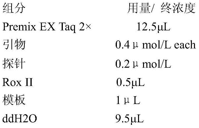 A kind of primer and probe sequence for detection of Escherichia coli o157:h7 nucleotide fragment