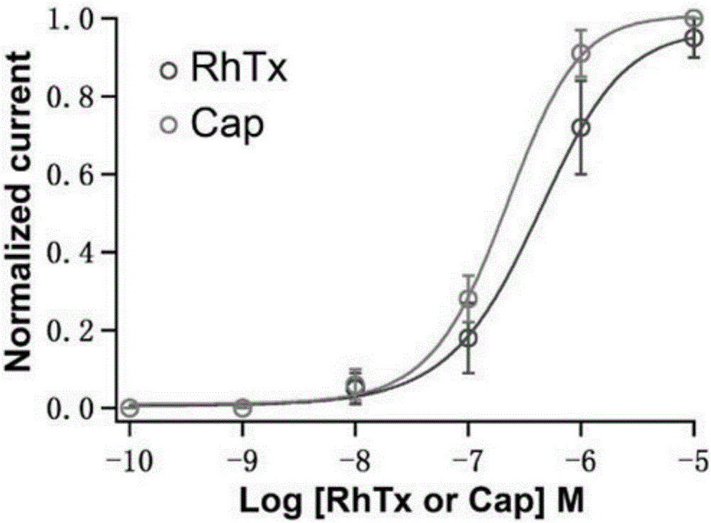 Centipede analgesic peptide SLP_RhTx and gene and application thereof