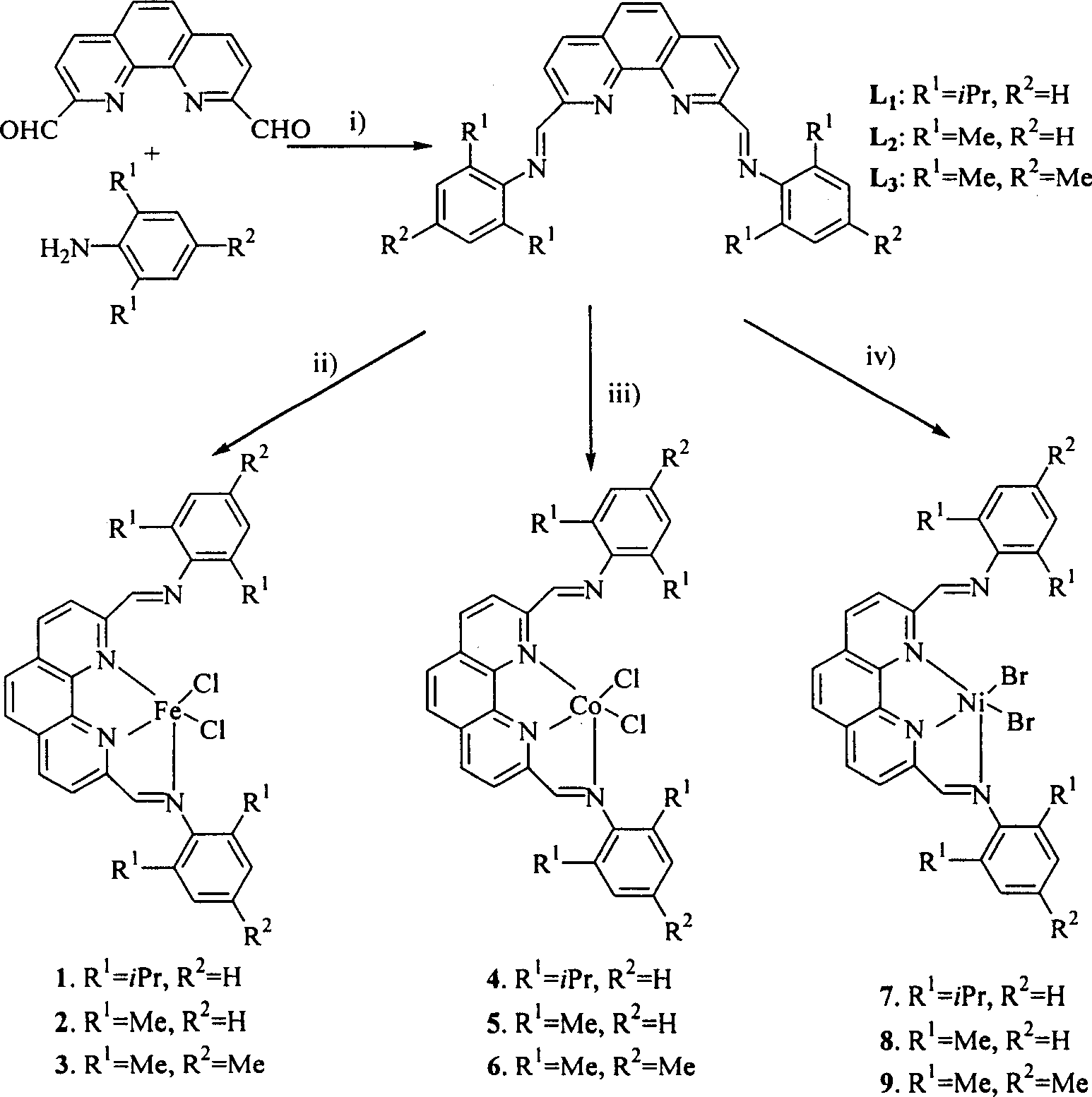 Ethene oligomerization and polymerization post transition metal complex catalyst