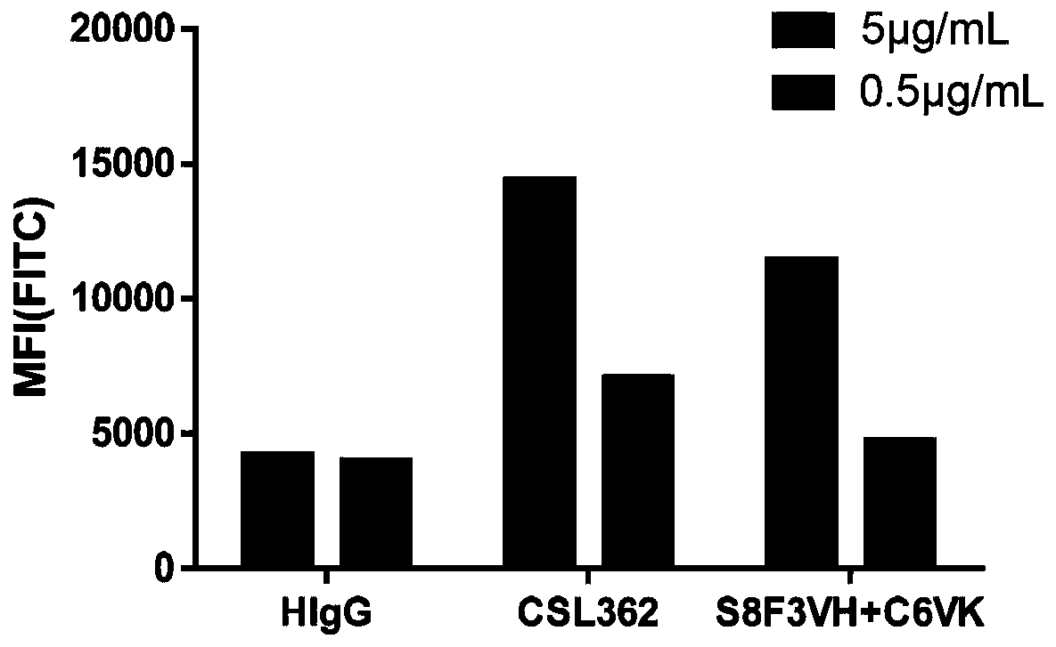 Bispecific antibody resistant to CD3 and CD123 and application of bispecific antibody