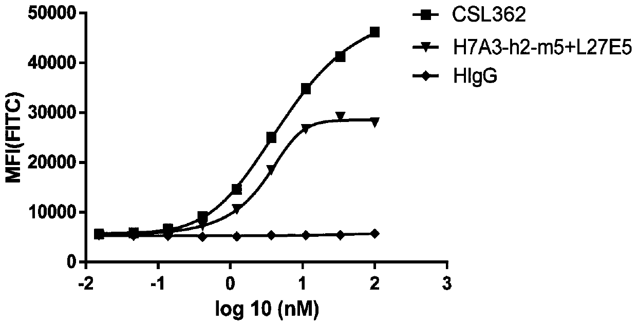 Bispecific antibody resistant to CD3 and CD123 and application of bispecific antibody