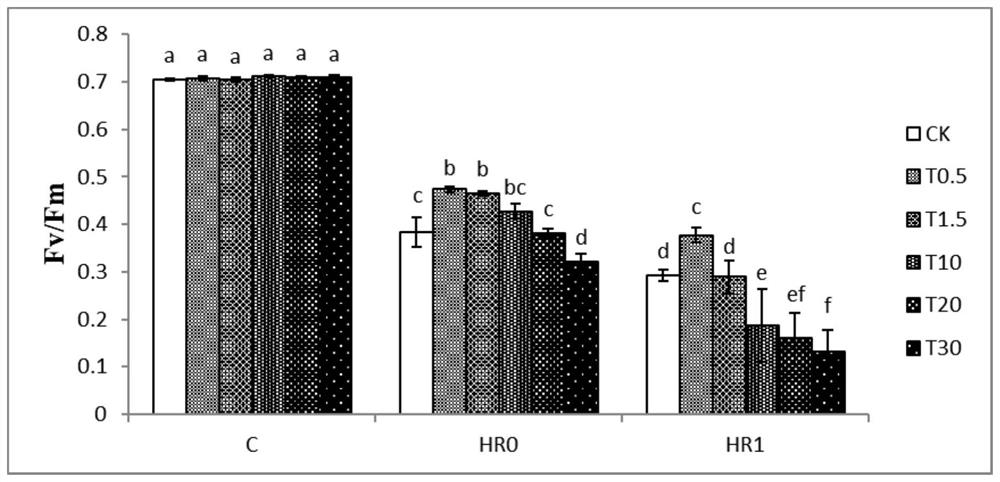 A method for improving photosynthetic carbon assimilation ability of maize under high temperature stress