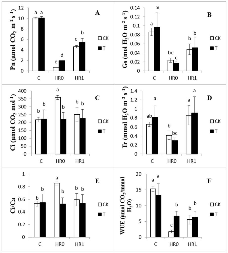 A method for improving photosynthetic carbon assimilation ability of maize under high temperature stress