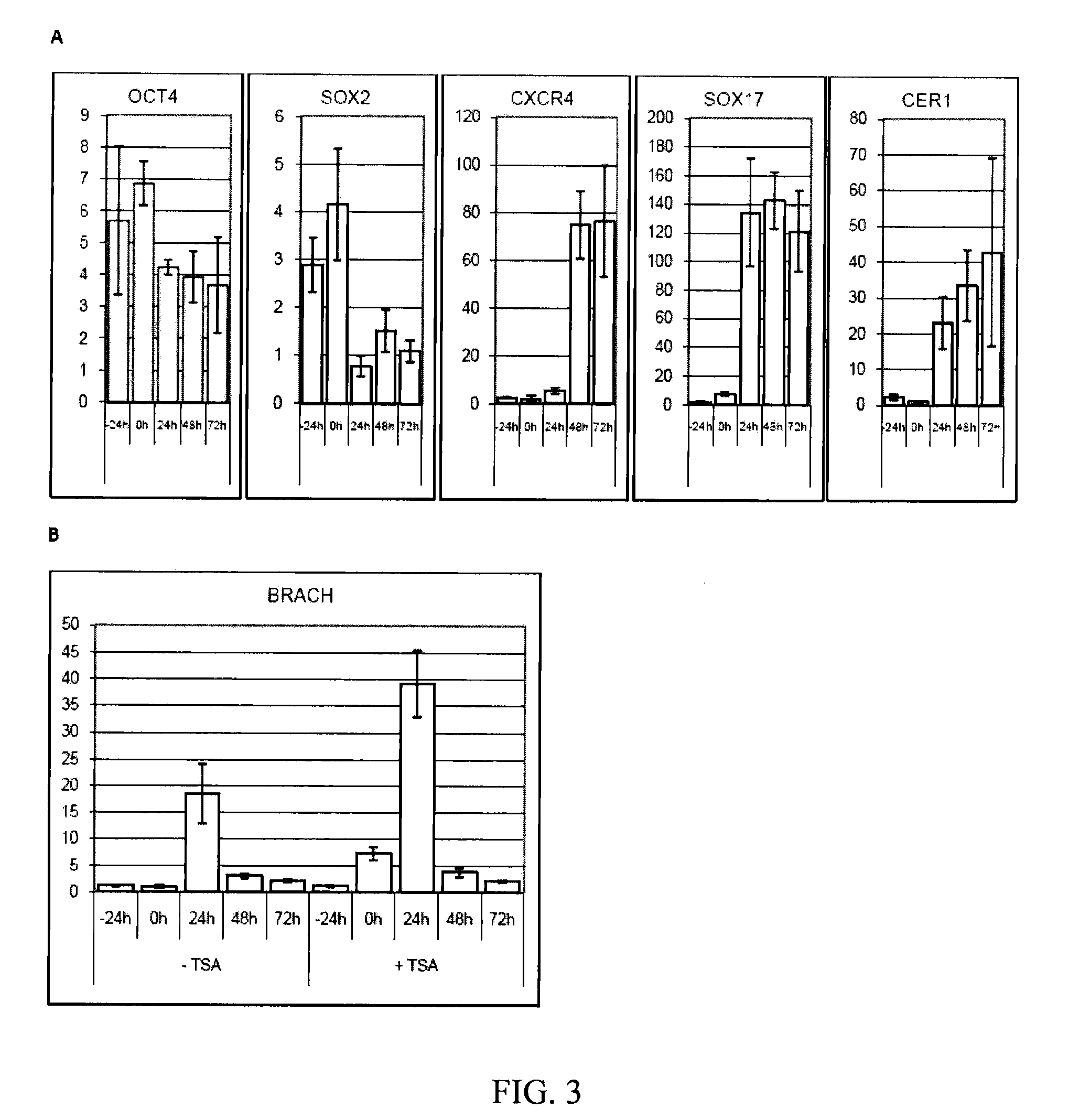 Methods of Deriving Differentiated Cells from Stem Cells
