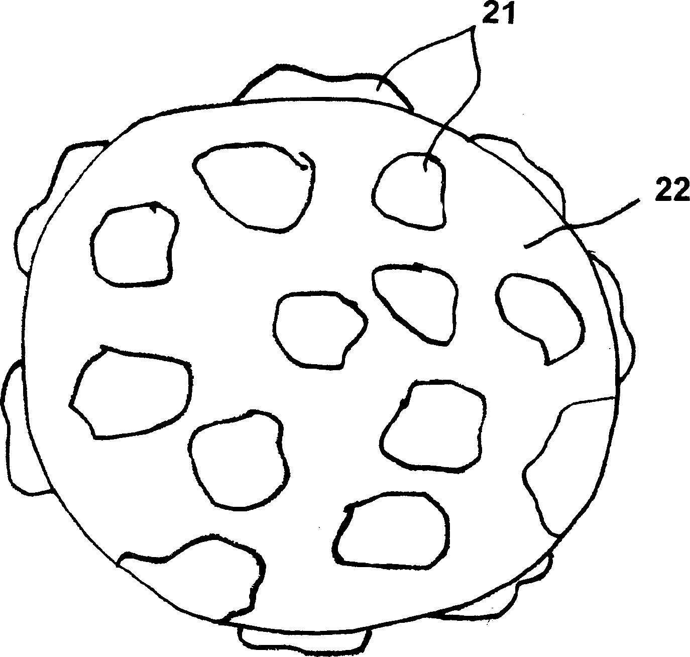 Injectable chondrocyte implant