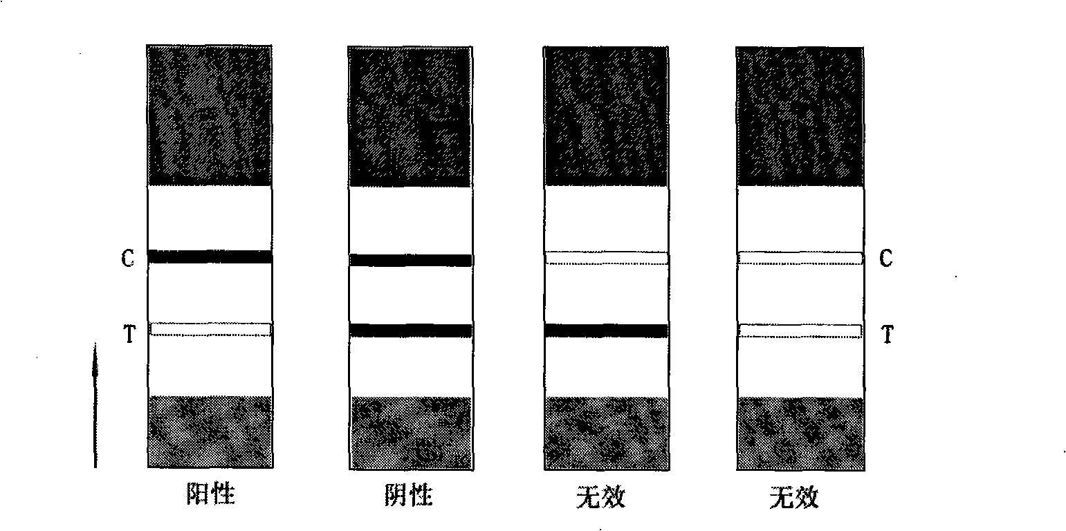 Immune colloidal gold test paper strip for detecting yapamicin relict and preparation thereof
