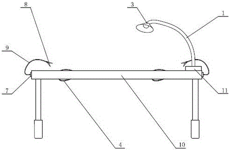 Small animal fixation rack used for biology laboratory and fixation method adopted by small animal fixation rack